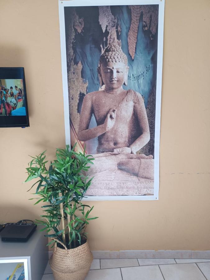 Jolie Petite Maison Idealement Situee 阿爾勒 外观 照片